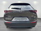 Mazda CX-30 "X" "Selection" "DES-P" "ACT-P" "BOSE" - Mazda Gebrauchtwagen in Berlin