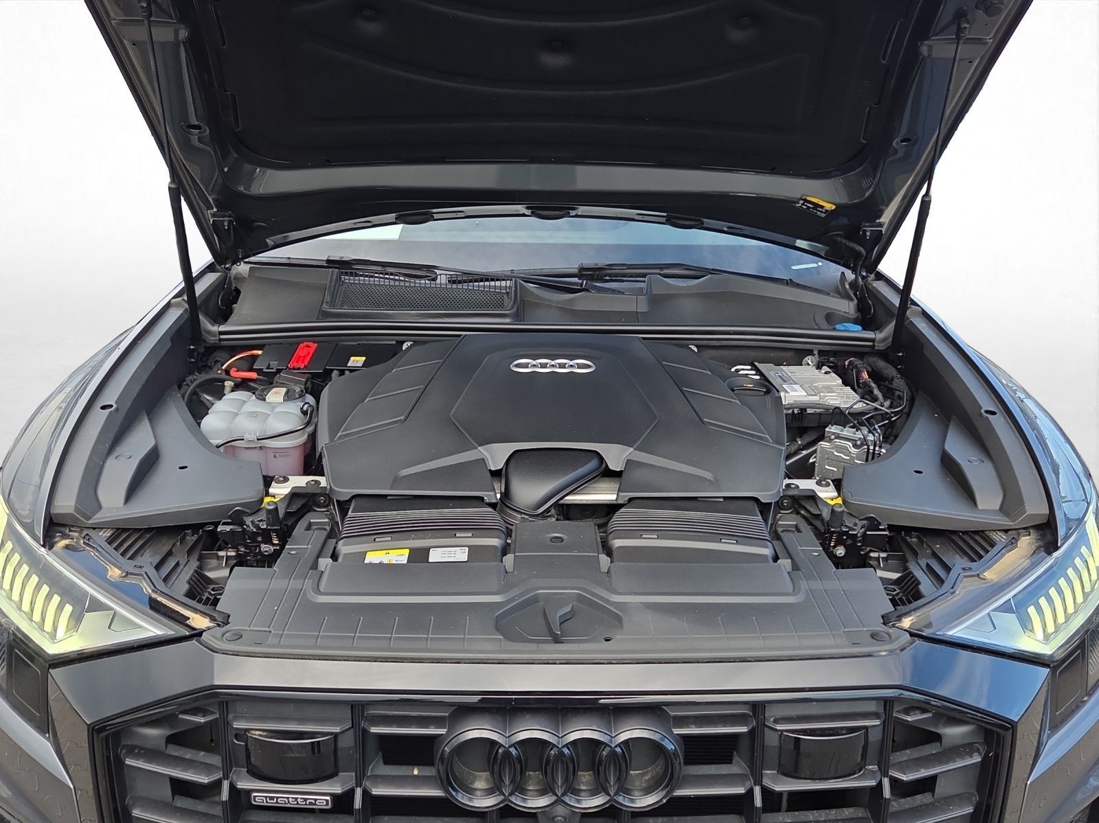 Audi Q8 - Bild 18
