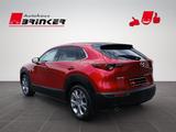 Mazda CX-30 Selection 2WD Rückfahrkamera ACC - Mazda CX-30 in Bielefeld