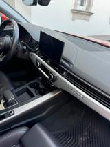 Audi A4 Allroad 50 TDI tiptronic quattro - - Audi A4 Allroad aus 2020