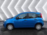 Fiat Panda 1.0 Mild-Hybrid ''Pandina'' Parksensoren K - Fiat Panda Gebrauchtwagen in Stuttgart