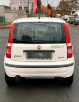 Fiat Panda Top Gepfleg, TÜV NEU Gas & Benz... - Fiat Panda in Bonn