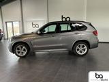 BMW X5 sDrive25d M Sport NaviProf/Xenon/Memo/HuD/Sof - BMW X5: Sport