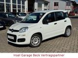 Fiat Panda 1.0 | Klima | 1.Hand |PDC - gebrauchte Fiat Panda aus dem Jahr 2020