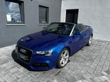 Audi A5 Cabriolet 2.0 TDI/Navi/Xenon/ S-line - Audi A5: Cabrio
