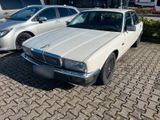 Jaguar XJ 40 3.6 Liter Benzin - Jaguar XJ40: Privatanbieter