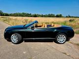Bentley Continental GTC - - - Bentley Continental: Cabrio