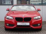 BMW 220d Cabrio Sport Line Leder Klima PDC - rote BMW 220