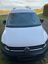 Volkswagen Caddy Kasten  - Volkswagen Caddy Maxi in Hamburg