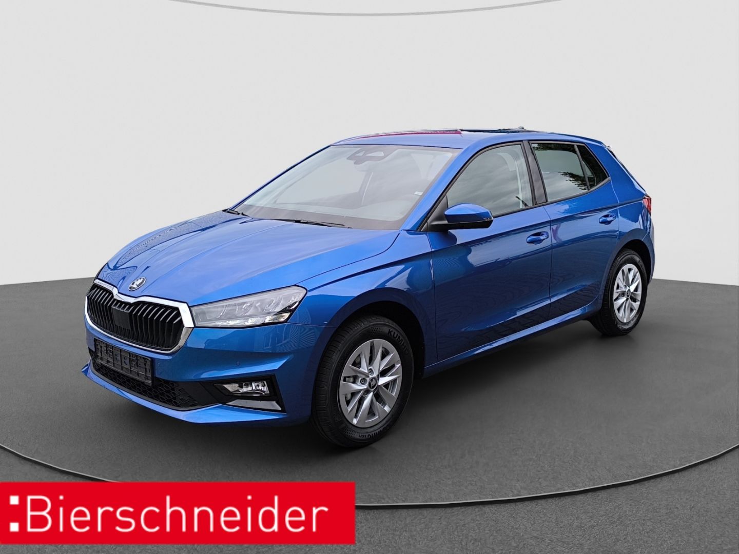 Skoda Fabia 1.0 MPI Selection 5-J-G LED RFK PDC