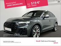 Audi SQ5 - Vorschau Bild 1