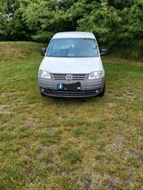Volkswagen Caddy Maxi Life 1.9 TDI 77kW Maxi - Volkswagen Caddy aus 2010: Maxi