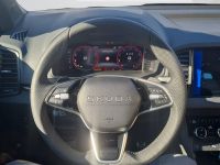 Skoda Karoq - Vorschau Bild 14