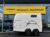 Böckmann XL 2 Pferdeanhänger Vollpoly Aluboden 2,4t. WCF - Pferdeanhänger Vollpoly