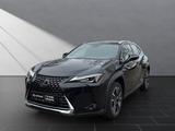 Lexus UX 250h*STYLE*1HD*VELOURS* 15J-GARANTIE* - schwarze Lexus UX