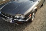 Jaguar XJ-S V12 HE Coupé | H-Zulassung - Jaguar: V12