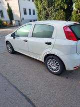 Fiat Punto 1.2 8V - - Fiat Punto von privat