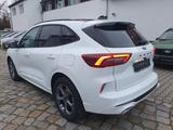 Ford Kuga 2.5 ST-Line X  Autom.Ahkpl. Panorama - gebrauchte Pickups