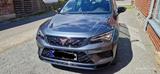 Cupra Ateca 2.0 TSI 221kW Limited Edition 4Drive D... - Cupra Ateca: Limited Edition