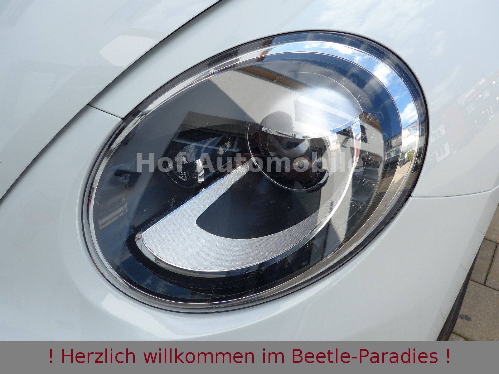 Volkswagen Beetle 1.2TSI 50"s Design Xenon Kamera Leder foto 11