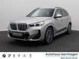 BMW X1 xD25e M Sport DAB Kamera H/K Panorama 18Zoll - BMW X1: X1m