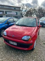 Fiat Seicento 900i cat SX - gebrauchte Fiat Seicento aus dem Jahr 1998
