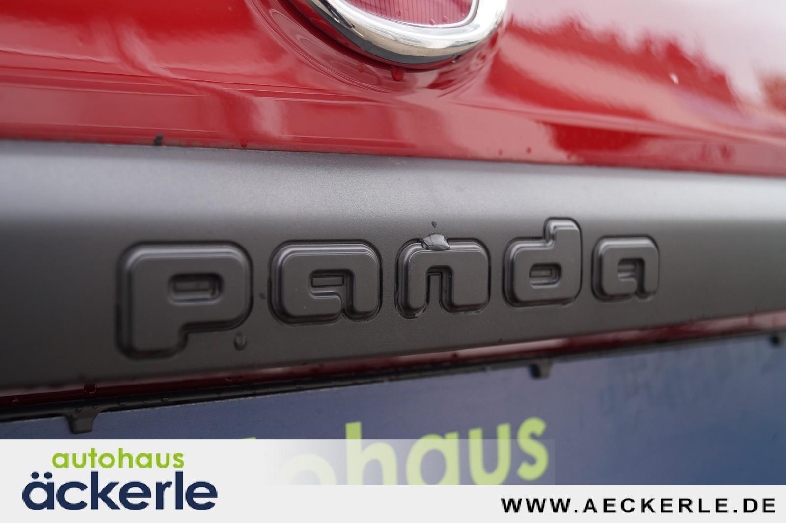 Fiat Panda Cross Red I Sonderedition "RED" I Allwette