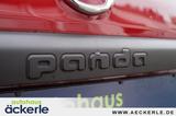 Fiat Panda Cross Red I Sonderedition "RED" I Allwette - gebrauchte Fiat Panda aus dem Jahr 2023
