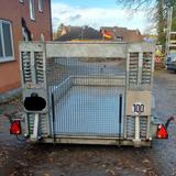 Saris Magnum Maxx 3500 - Saris Pkw-Anhänger