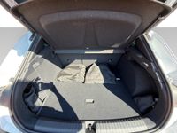 Cupra Terramar - Vorschau Bild 12