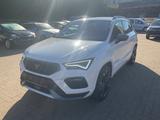 Cupra Ateca Basis 4Drive *VIRTUAL* *360* *221kW* - Cupra aus 2021