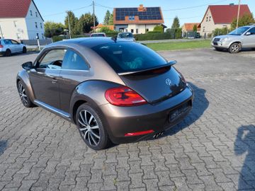 Volkswagen Beetle - 7
