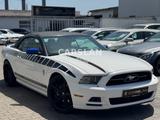 Ford Mustang 3.7 V6 CABRIO "LED+20"+LEDER+Bi-XENON" - Ford: Cabri