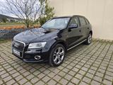 Audi Q5 2.0 TFSI 165 kW quattro - Audi Q5 mit Benzin-Antrieb: Standheizung