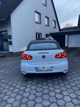 Volkswagen Golf 1.6 TDI CUP Cabriolet CUP - Volkswagen Golf mit Diesel-Antrieb: Cabrio