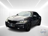 BMW 220d xDrive M SPORT*LED*S-DACH*BMW-SERVICE* - BMW 220 mit Diesel-Antrieb: Coupe
