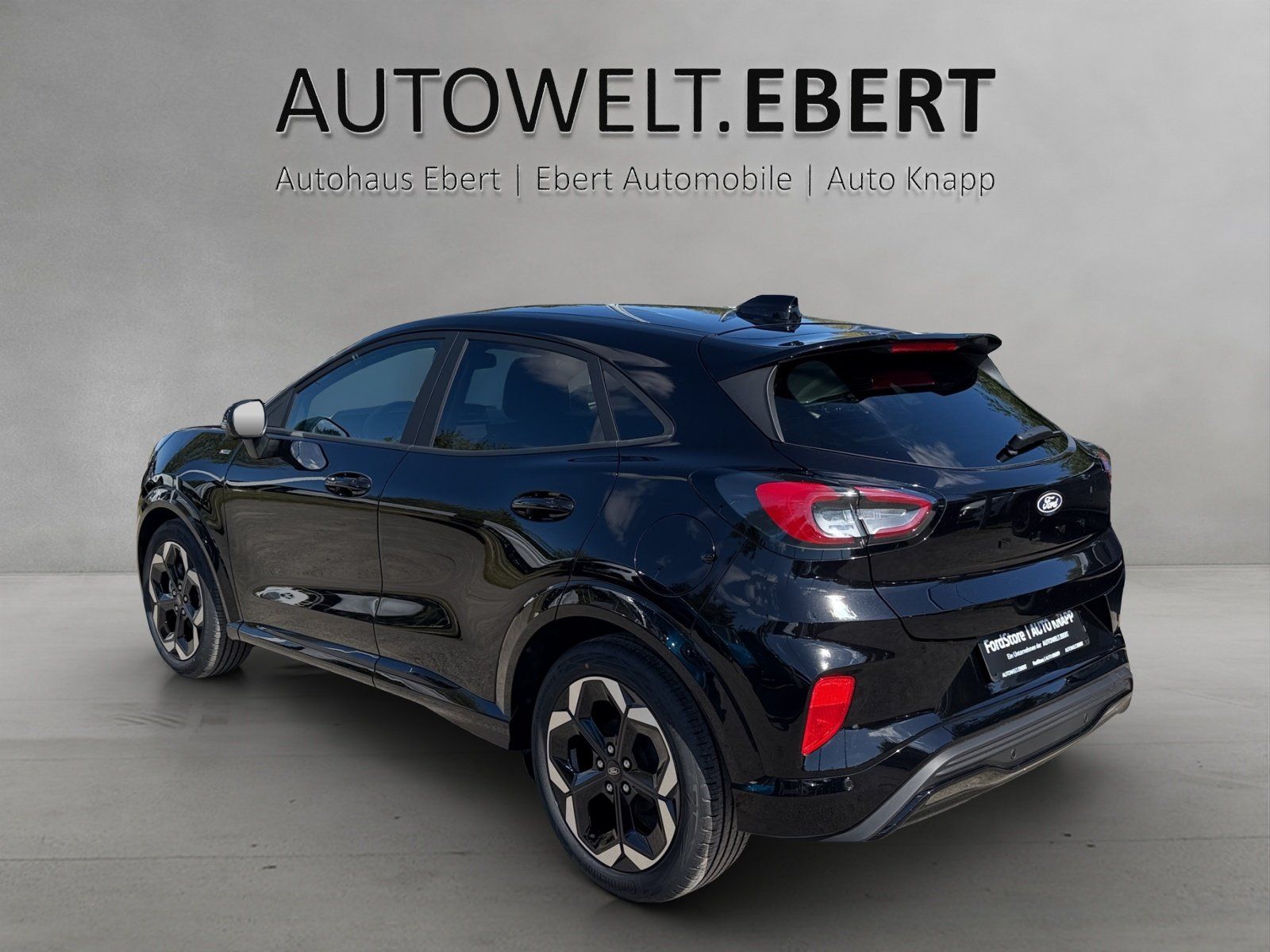 Ford Puma ST-Line X LED Matrix 19Zoll Winter Paket imagem 3