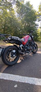Benelli Leoncino 500 - BENELLI MOTORRAD