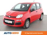 Fiat Panda 1.2 Easy*KLIMA*CD*WENIG-KM*1.HAND*GARANTIE - Fiat Panda Kleinwagen Km h mit Benzin-Antrieb