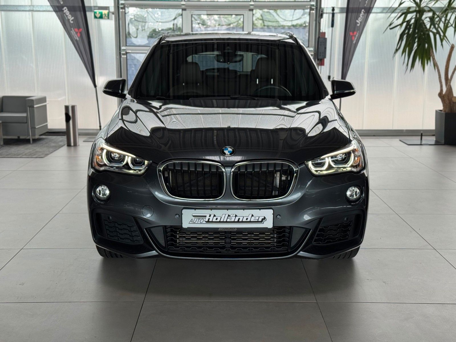 Fahrzeugabbildung BMW X1 xDrive 2.0i M Sport   "Leder PANO Kamera"