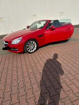 Mercedes-Benz SLK 200 BlueEFFICIENCY - - : Rot, Cabrio