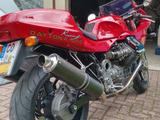 Moto Guzzi Daytona Racing  - MOTO GUZZI DAYTONA