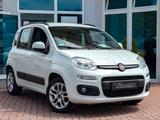 Fiat Panda 1.2 LOUNGE/Service neu/1.Hand/PDC - Fiat Panda Gebrauchtwagen in Karlsruhe