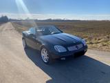 Mercedes-Benz 230 - Mercedes-Benz 230: Cabrio