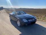 Mercedes-Benz 230 - Mercedes-Benz 230 mit Benzin-Antrieb