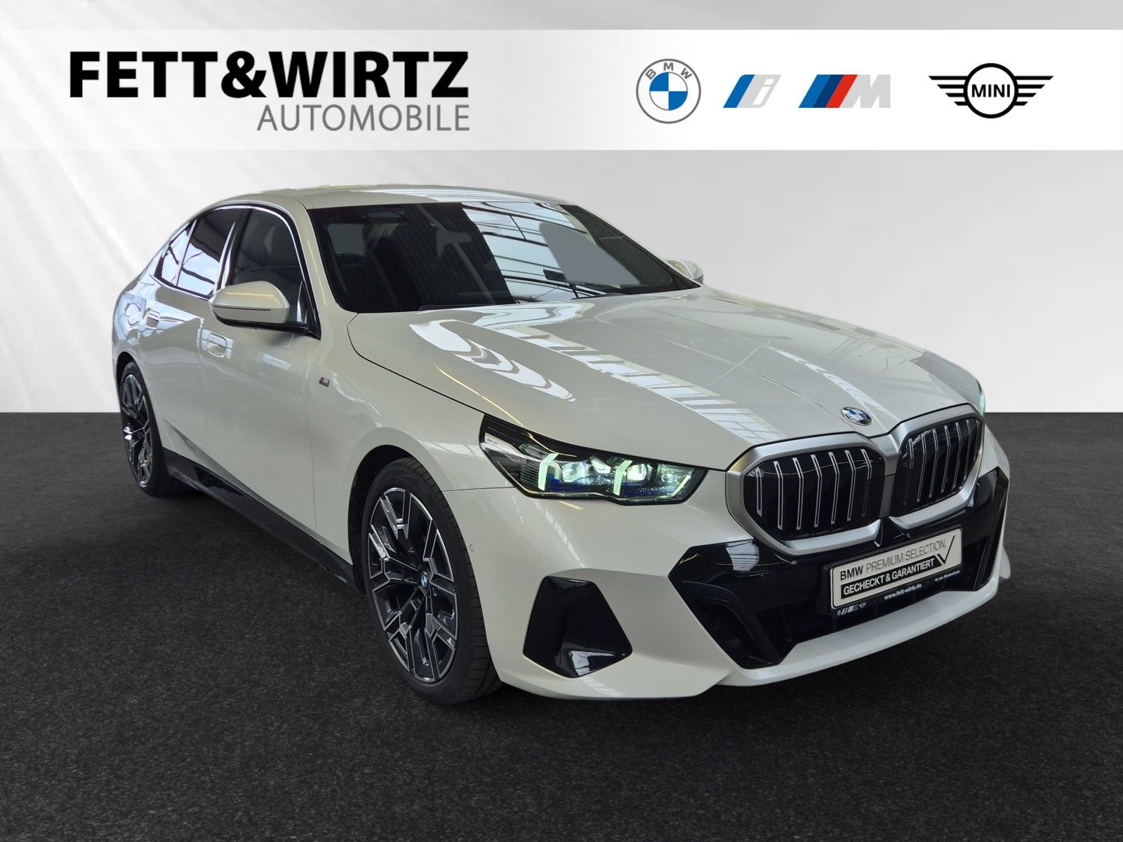 BMW 520i Limousine M Sport|AHK|20"LMR|Autobahnass.