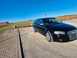 Audi AUDI A3 SPORTBACK 1.6 S-LINE - Audi A3 aus 2004: Line