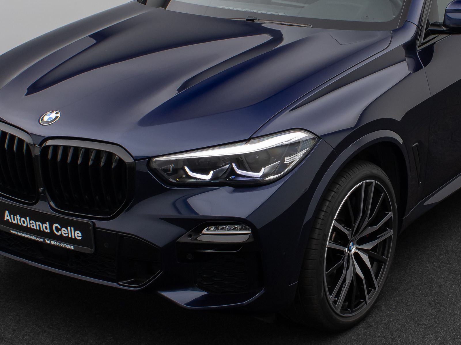 Fahrzeugabbildung BMW X5 M50i Panorama 360° DAB H/K AHK Komfort 22Zoll
