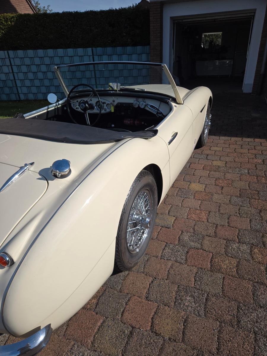Austin Healey Andere