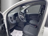 Fiat Panda - Vorschau Bild 7